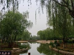 -燕郊植物园