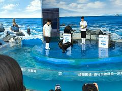 -海合安武汉极地海洋公园