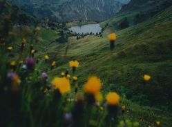 -WAVE SODA摄影工作室