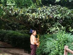 -成都市活水公园