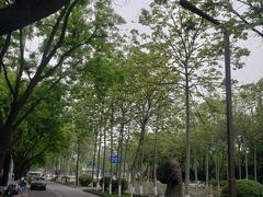-西安交通大学(雁塔校区)