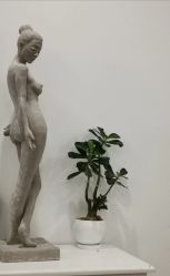 -一个差评成就的纹眉店