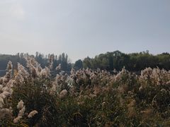 -北坞公园