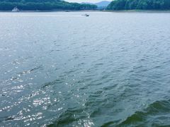 -天目湖山水园