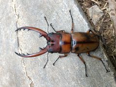 -青州市云门山风景区