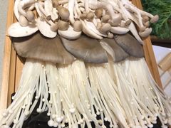 -蝎王府羊蝎子(虎坊桥总店)