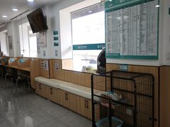 -瑞派长江宠物医院·猫科·外科·24小时夜护(谊城公寓分院)