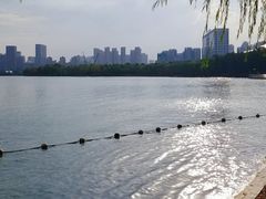 -天鹅湖体育公园