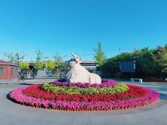 -永定河休闲森林公园