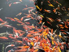 -番禺宾馆丽苑厅