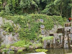 -千岛湖东南湖区