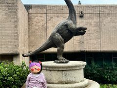 -自贡恐龙博物馆