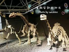 -世界恐龙谷景区