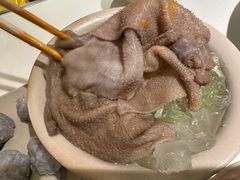 -朱氏胖子烂火锅(洪崖洞店)
