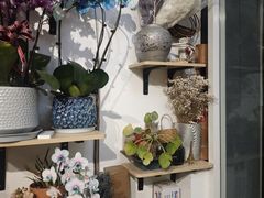 -FEI FEI FLOWER鲜花店·气球派对·宝宝宴布置(虹口德必运动Loft店)