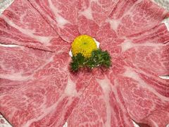 -顺轩海鲜火锅酒家