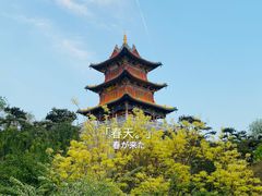-迎泽公园