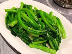 广东菜心-古南都·老广东酒楼(龙江店)
