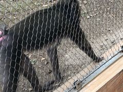 -哈尔滨北方森林动物园
