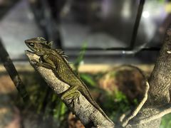 -昆山招商花园城