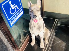 -松子料理(白家庄店)