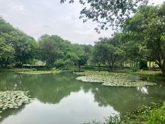 -茅家埠