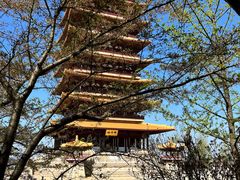 -牛首山文化旅游区