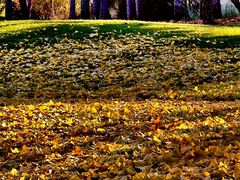 -北京雁栖湖国际会展中心