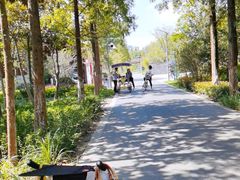 -昆山城市生态森林公园