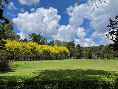 -长春市南湖公园