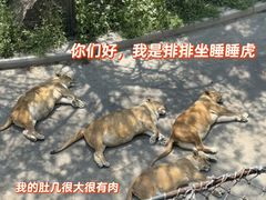 -大连森林动物园