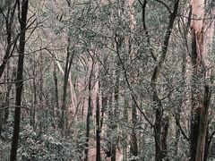 -滴水岩森林公园