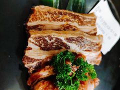 -坦坦大炉·韩式烤肉(望京店)