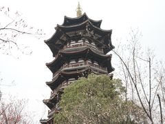 -洋湖国家湿地公园