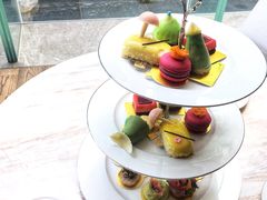 -苏州希尔顿酒店·园大堂吧