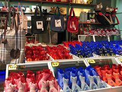 -猫咪博物馆(顶澳仔猫街店)