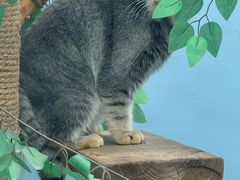 -青藏高原野生动物园