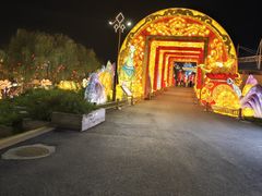 -淄博花灯齐彩城