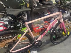 -道路口单车爱瓦士dahon大行