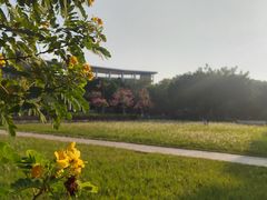 -华南师范大学(广州大学城校区)