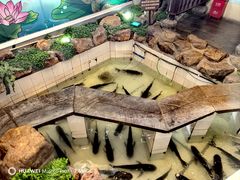 -春盛渔府(牛首山店)