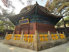 -潭柘寺景区