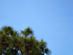 -美兰湖景区