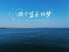 -白洋淀景区