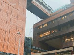 -香港大学