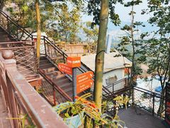 -巴倒烫陆派火锅山庄(南山总店)