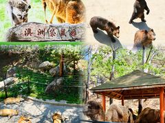 -大连森林动物园