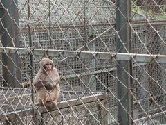 -北宫国家森林公园