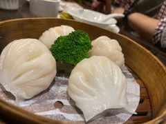 虾饺-新海利(北岭店)