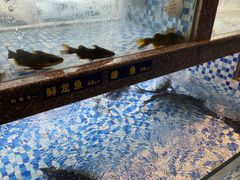-格塘人家·山泉水煮鱼(望兴家园店)